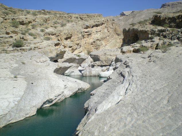 Wadi Oman Jan 2011 (9)